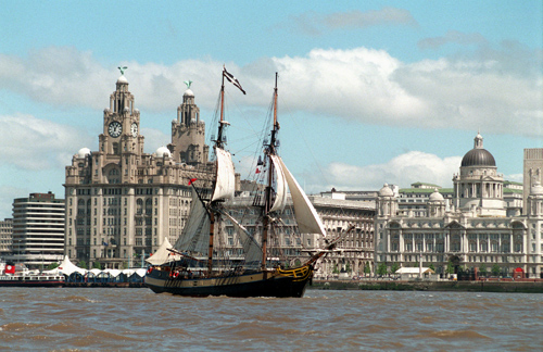 river festival liverpool tours
